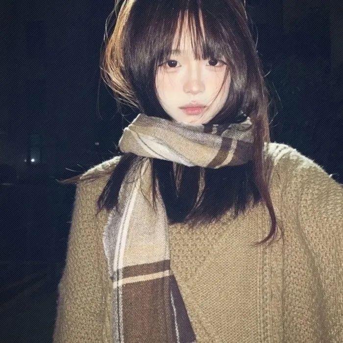 森林之北